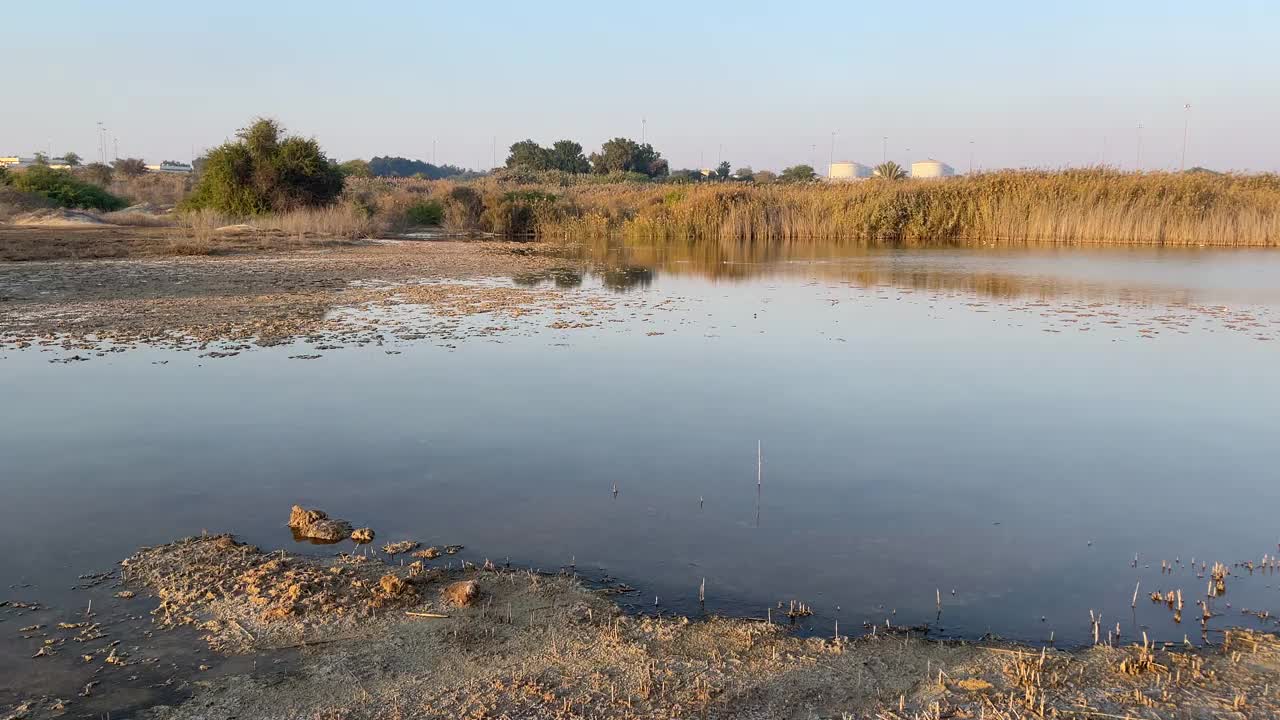 沙漠野生植物和自然|壮观的景观在阿联酋阿布扎比的Al Wathba湿地保护区|海岸盐滩(sabkha)湖视频下载