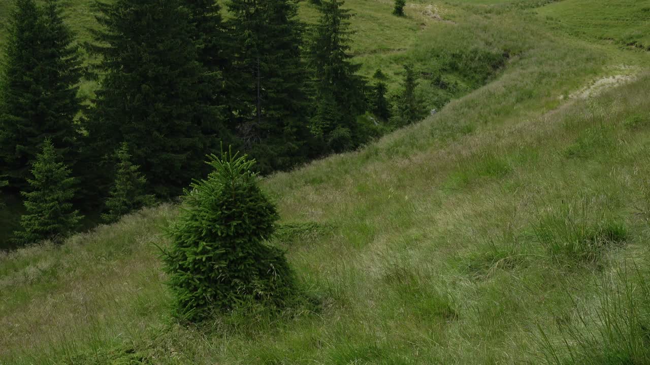 罗马尼亚Ciucas山美丽的全景视频素材