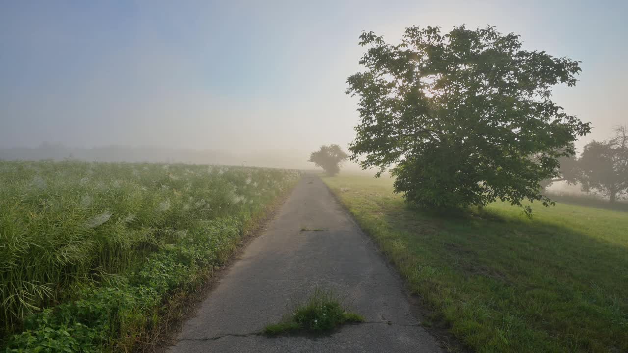 夏天日出时的土路，施马克滕贝格，米尔滕贝格，斯佩萨特，巴伐利亚，德国视频素材