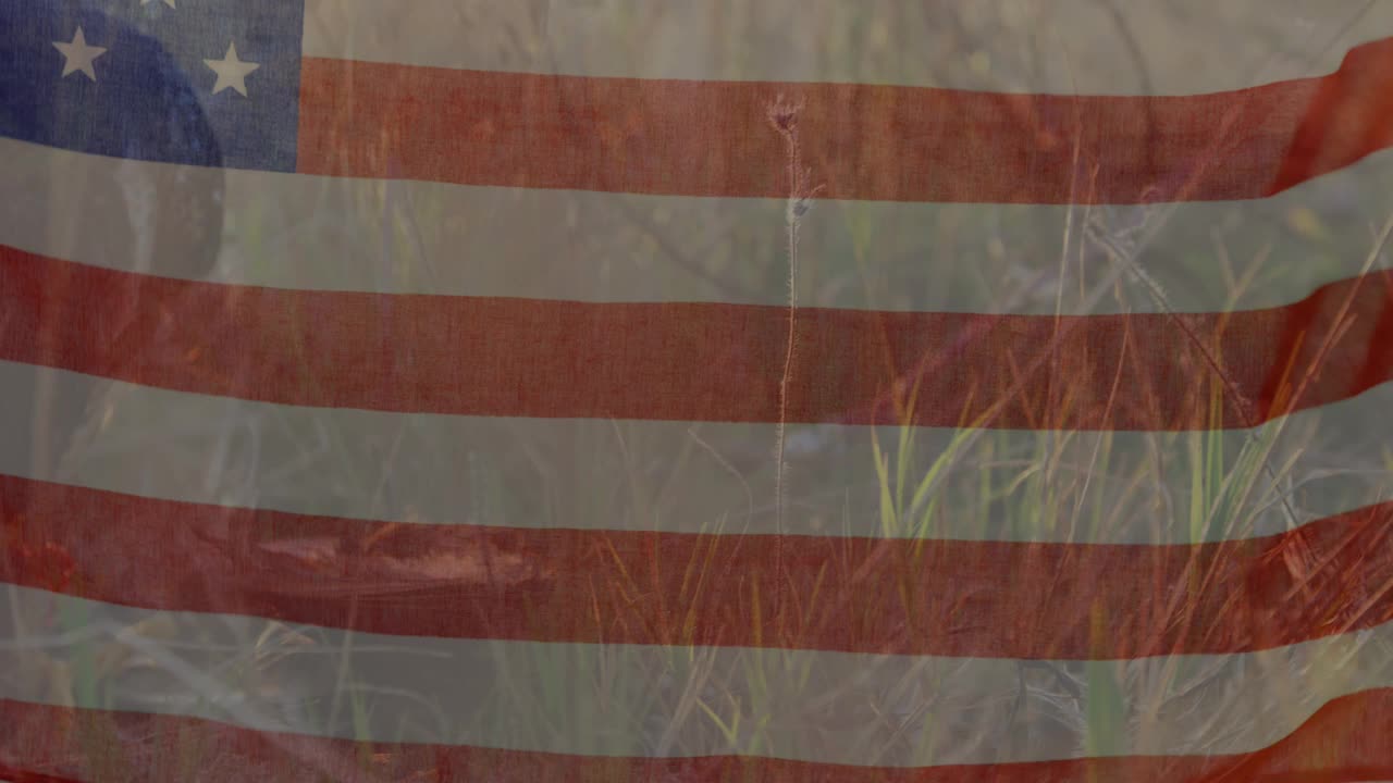 复古美国国旗飘扬在鹰上的动画和数据处理视频素材
