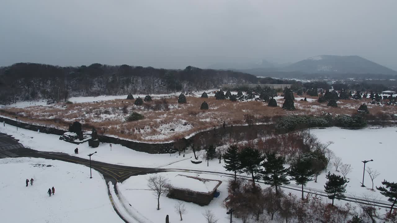 济州岛九川郡的济州岛石头公园/济州岛，韩国济州岛视频素材