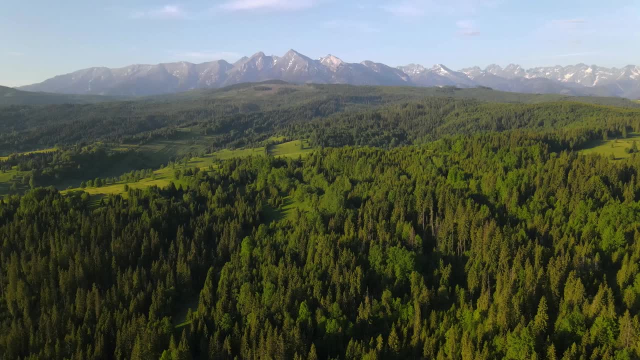 无人机飞越山谷云杉森林和荒野进入塔特拉山脉视频下载