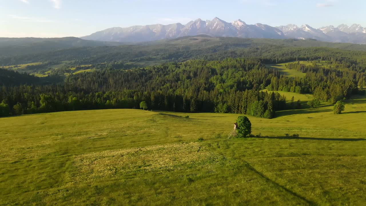 夏天的风景山脉和草地在塔特拉山脉Lapszanka山谷在波兰。无人机实时飞行视频下载