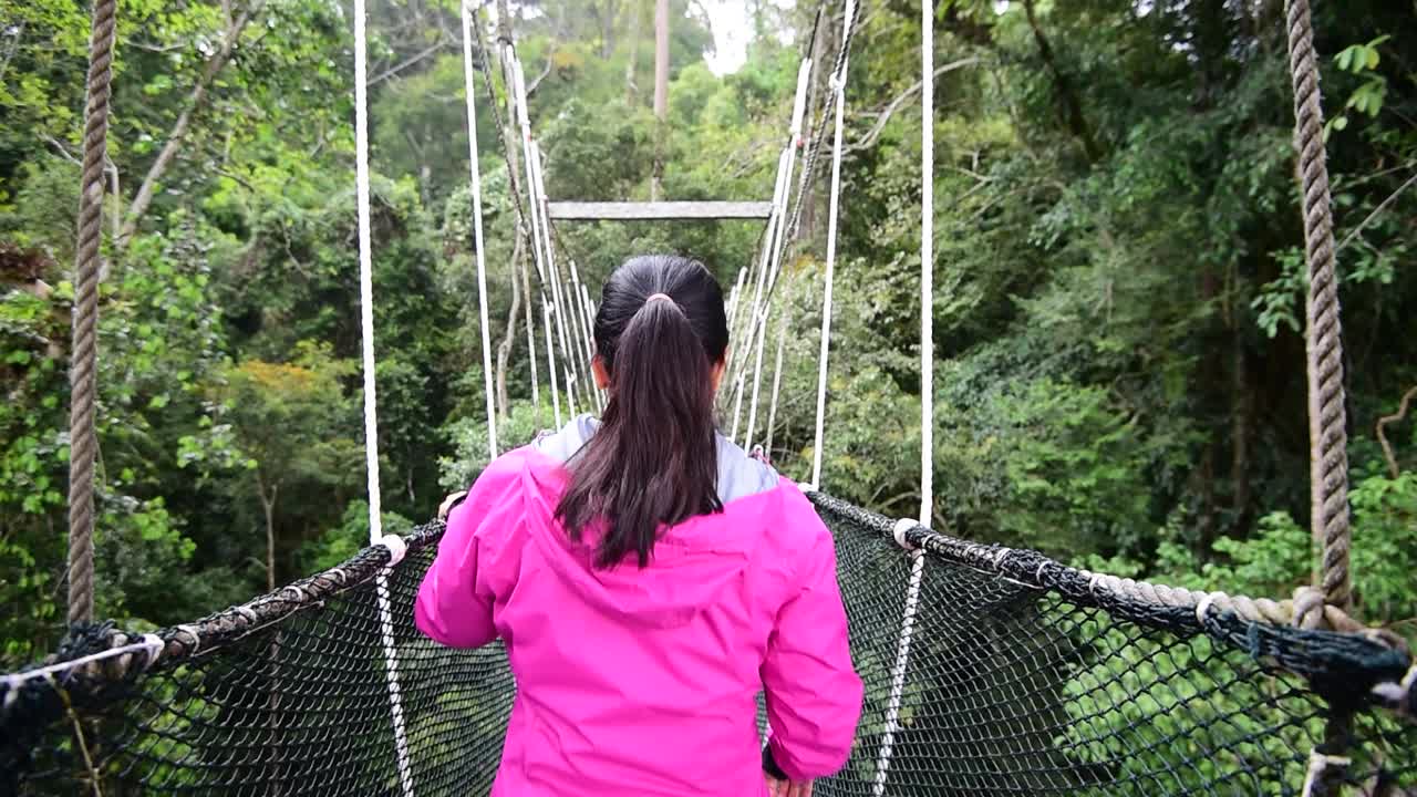 在婆罗洲的林冠栈道上行走的女人视频下载