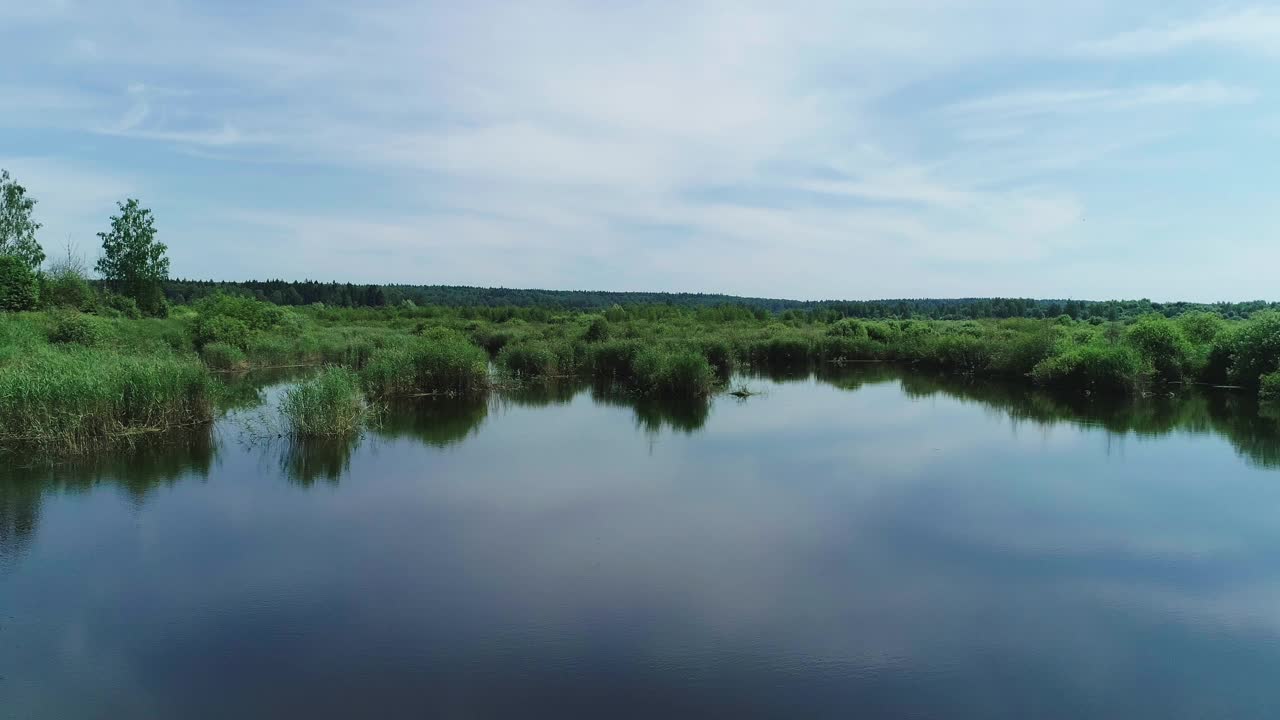 夏天的一天，湖水长满了高草。4 k鸟瞰图视频素材