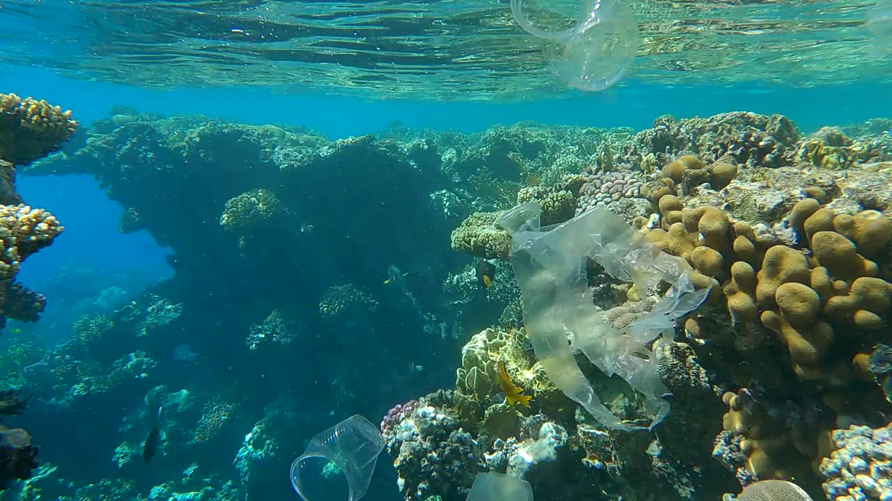 塑料垃圾在蓝色的水中游泳，彩色的热带鱼在射线。水下拍摄。海洋的塑料污染。红海的大量塑料污染(4K - 60fps)视频素材