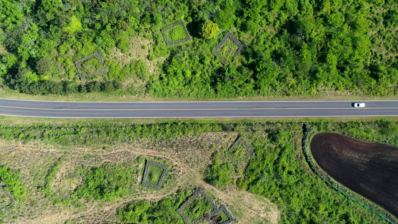 汽车行驶在道路上/韩国济州岛西归浦视频素材