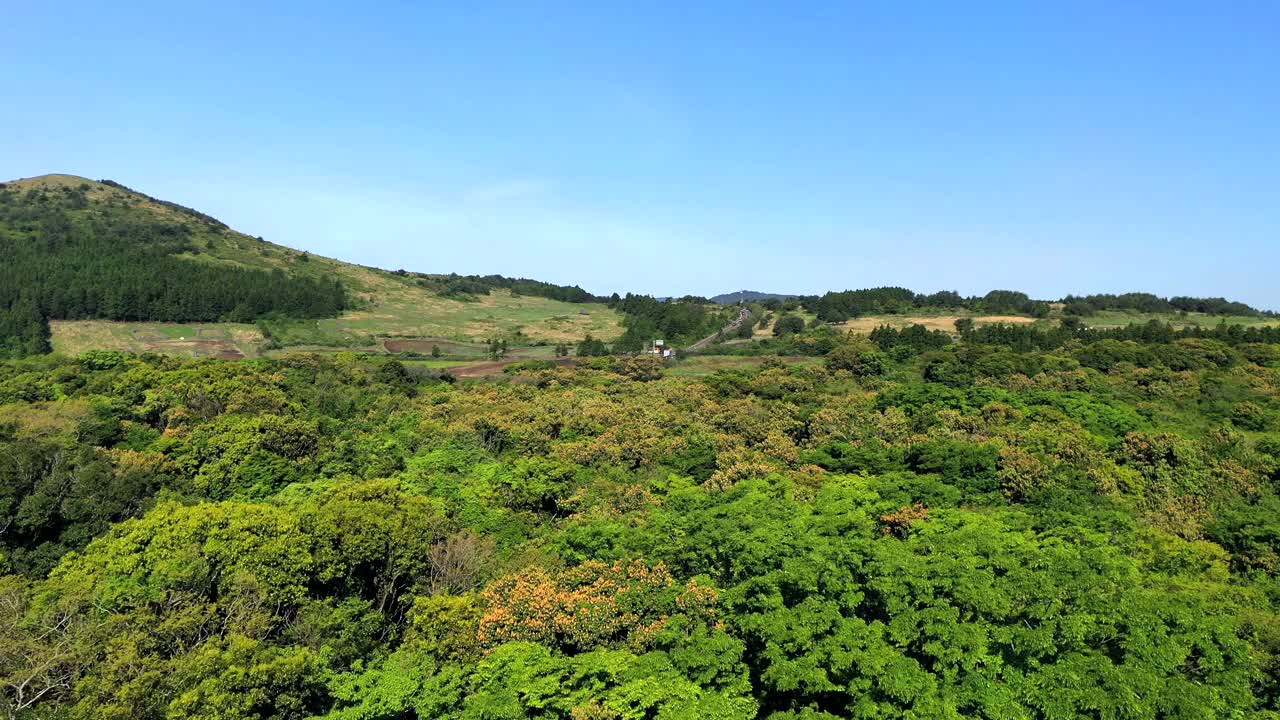 汽车行驶在道路上/韩国济州岛西归浦视频素材