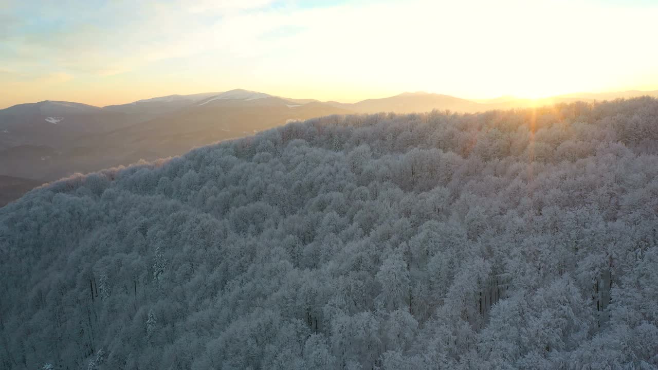 山上的森林里，美丽的白雪覆盖着树木，被清晨的阳光照亮视频素材