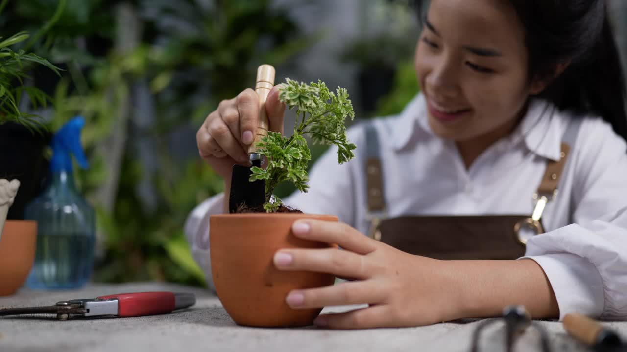 铲植物的女人视频素材