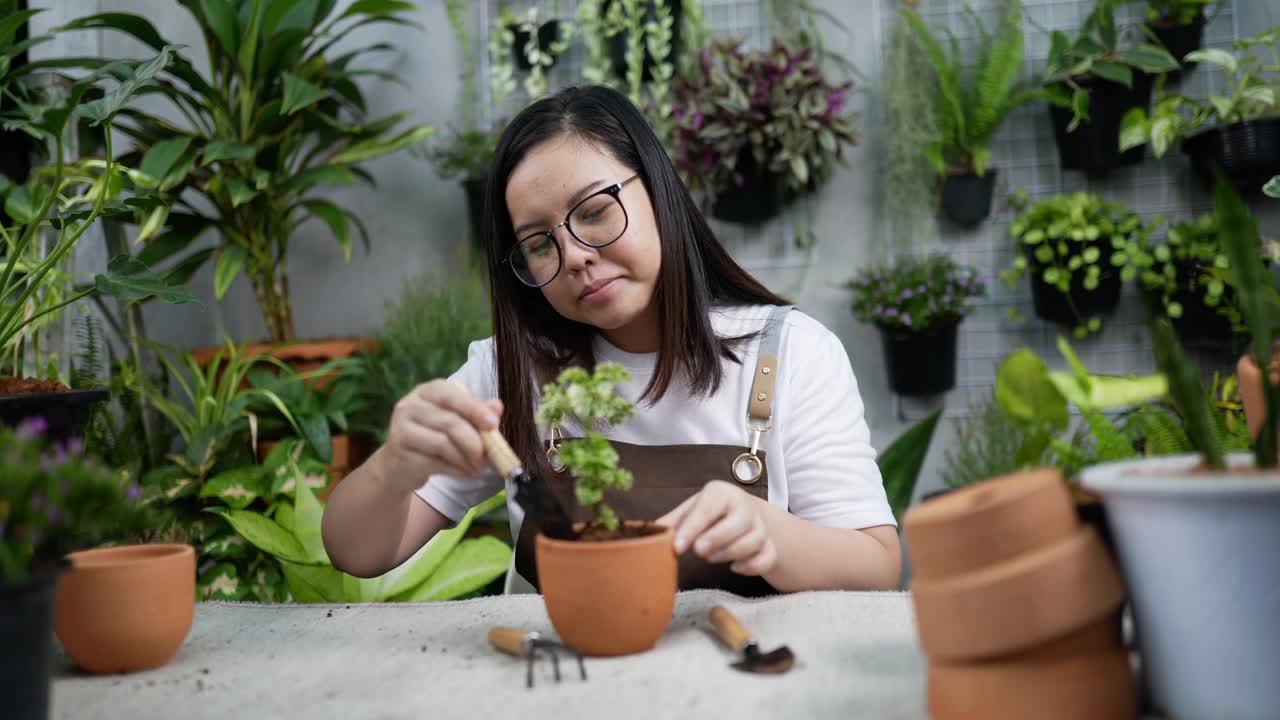 铲植物的女人视频素材