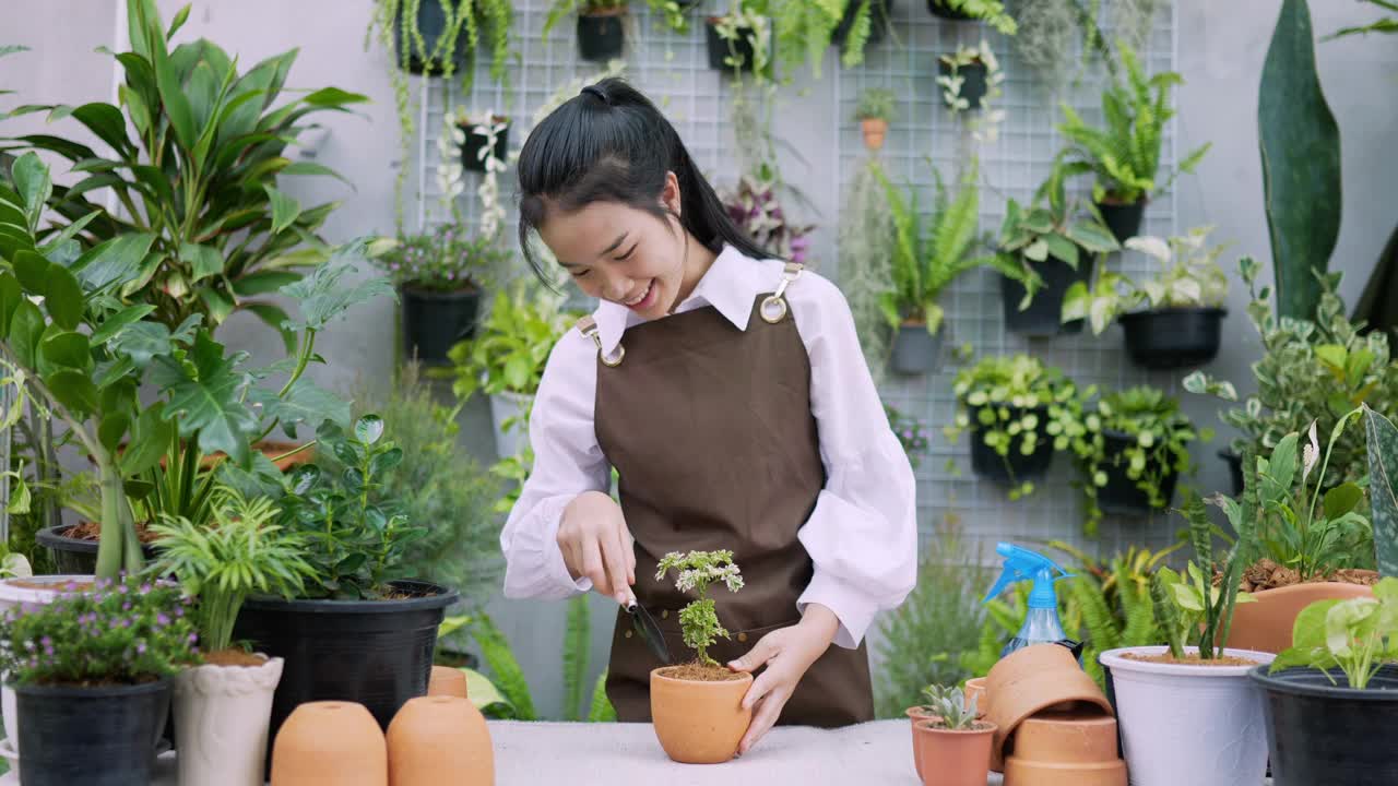 铲植物的女人视频素材