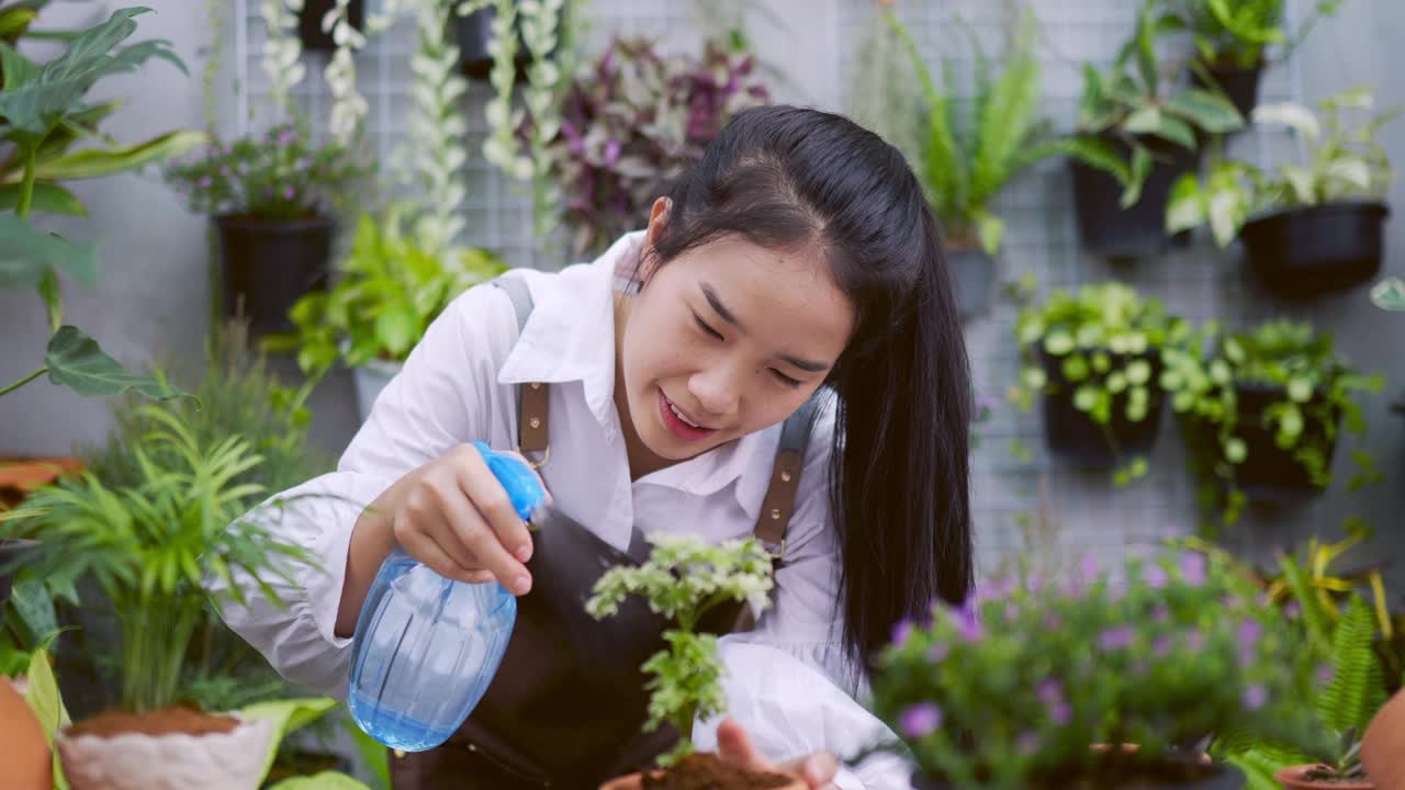 女人喷水植物的特写视频素材