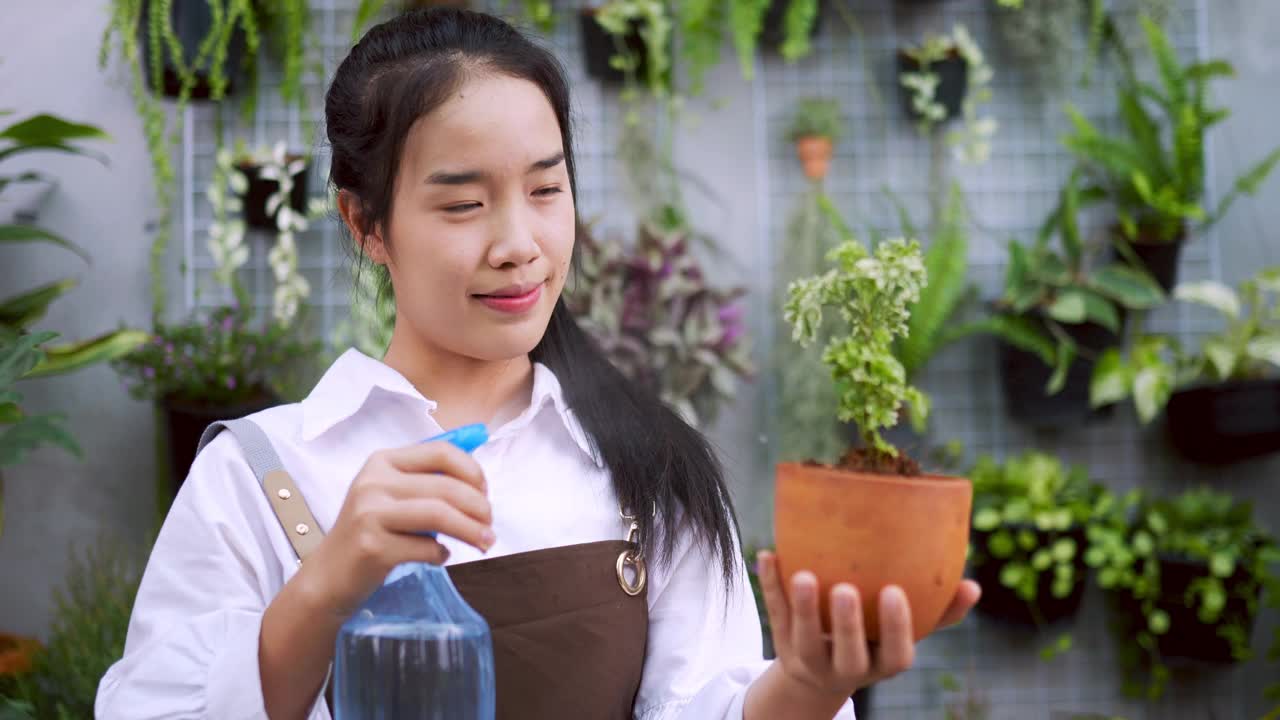 女人给植物浇水和抱花盆的特写。视频素材