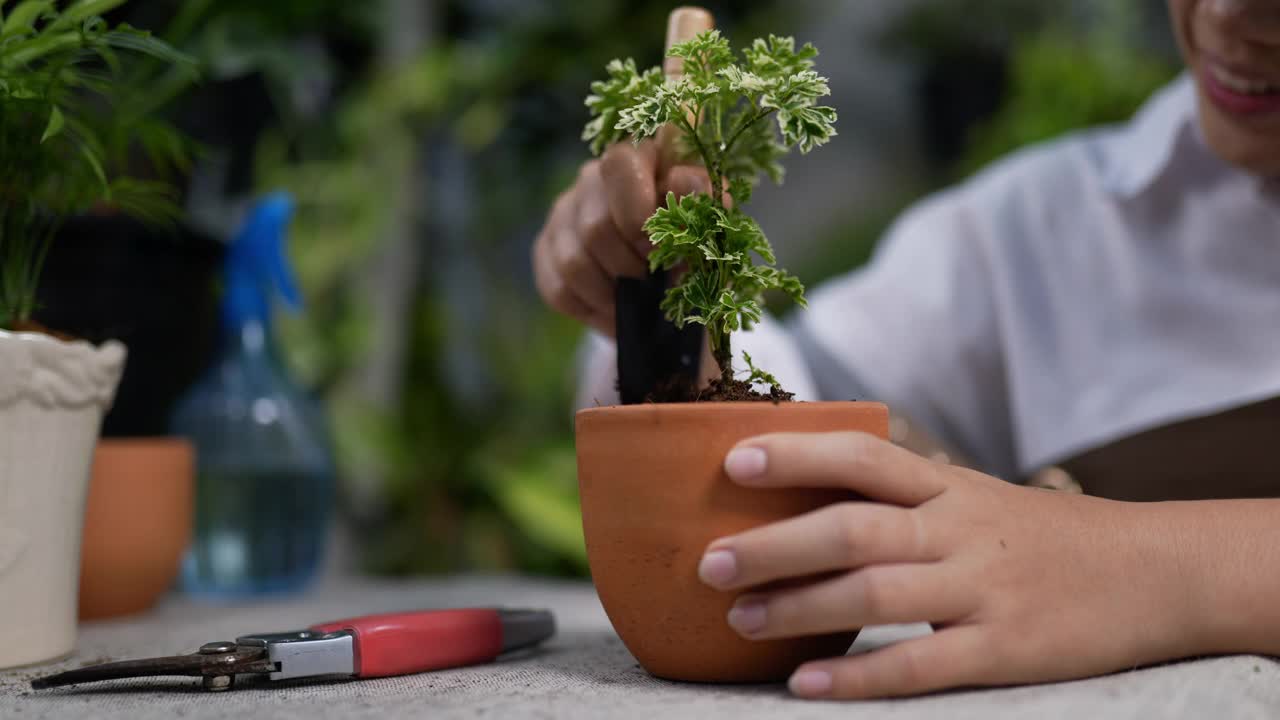 铲植物的女人视频素材