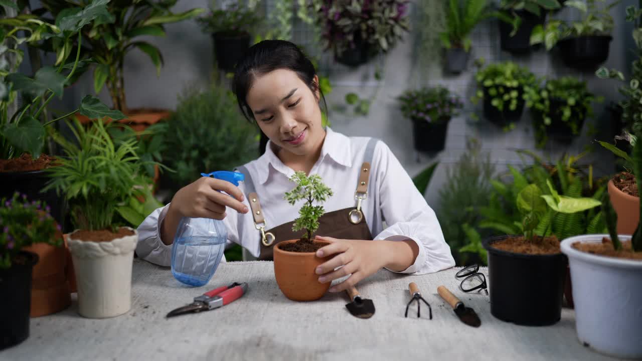 在花店里给植物浇水的女人视频素材