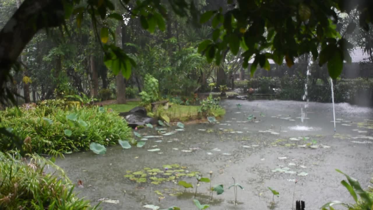 下雨时可观赏室外园林景观、喷泉池、水池视频素材