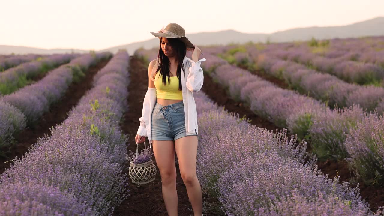 夕阳下薰衣草田里兴高采烈的少女视频素材