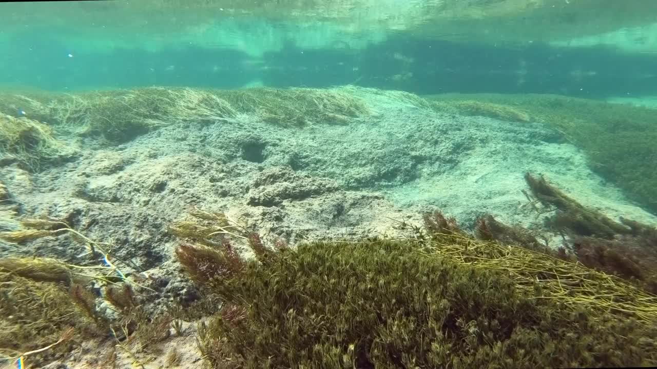 水流清澈见底，山涧中有水草，水下射视频素材