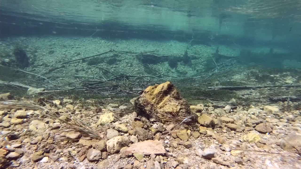 水流清澈见底，山涧中有水草，水下射视频素材