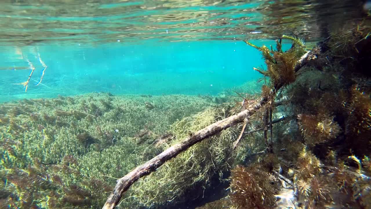 水流清澈见底，山涧中有水草，水下射视频素材