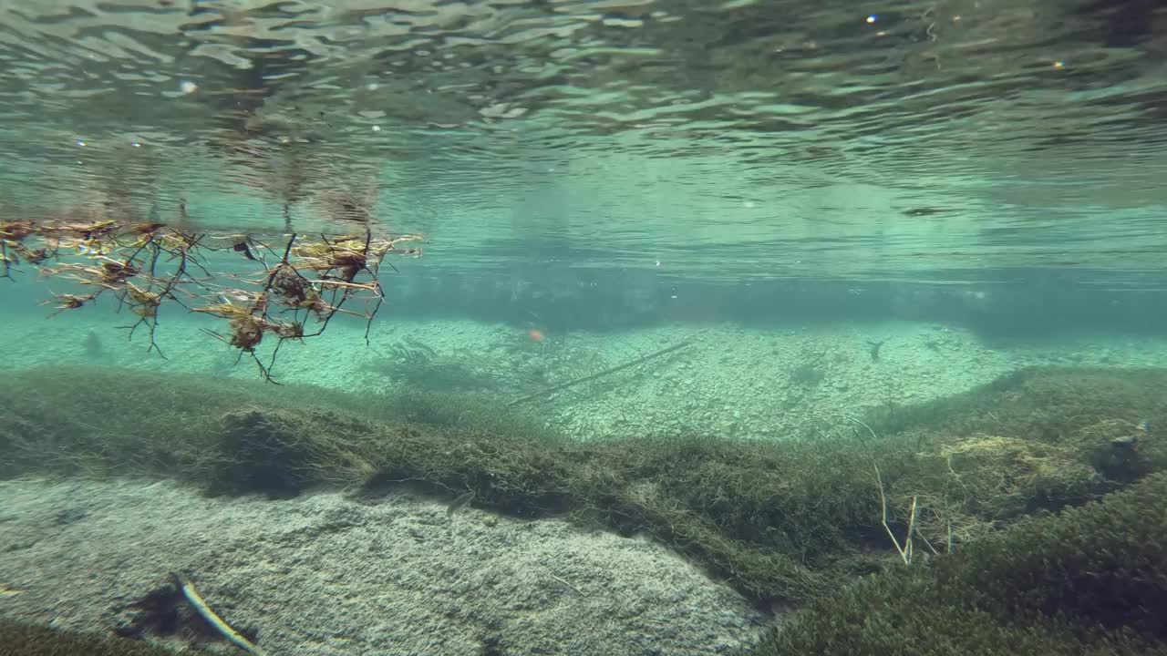 水流清澈见底，山涧中有水草，水下射视频素材