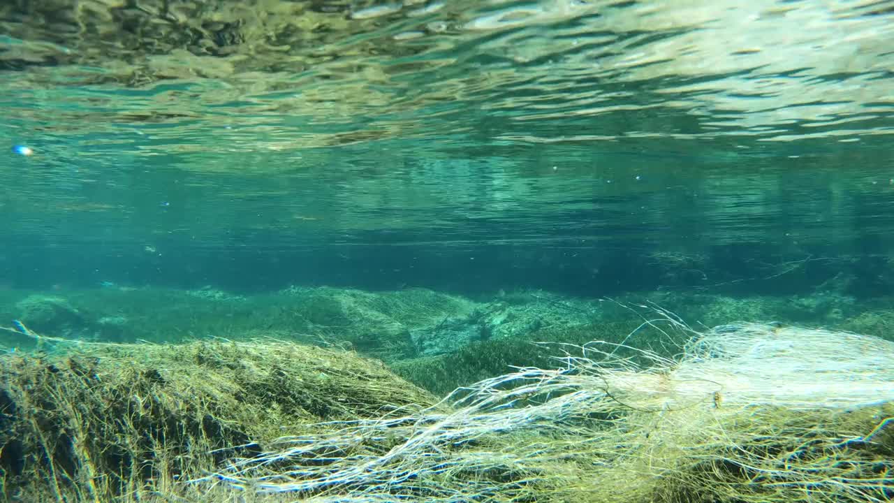 水流清澈见底，山涧中有水草，水下射视频素材