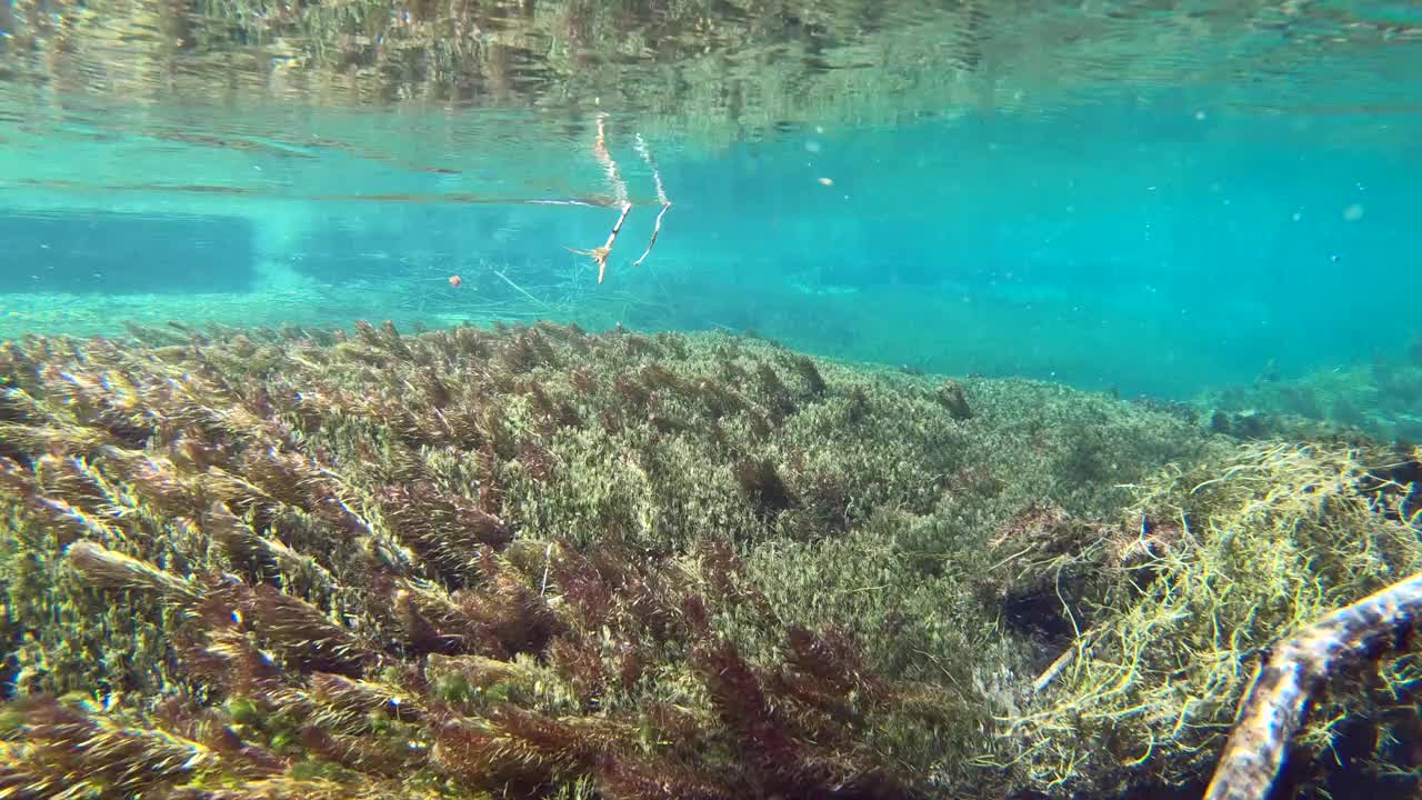 水流清澈见底，山涧中有水草，水下射视频素材