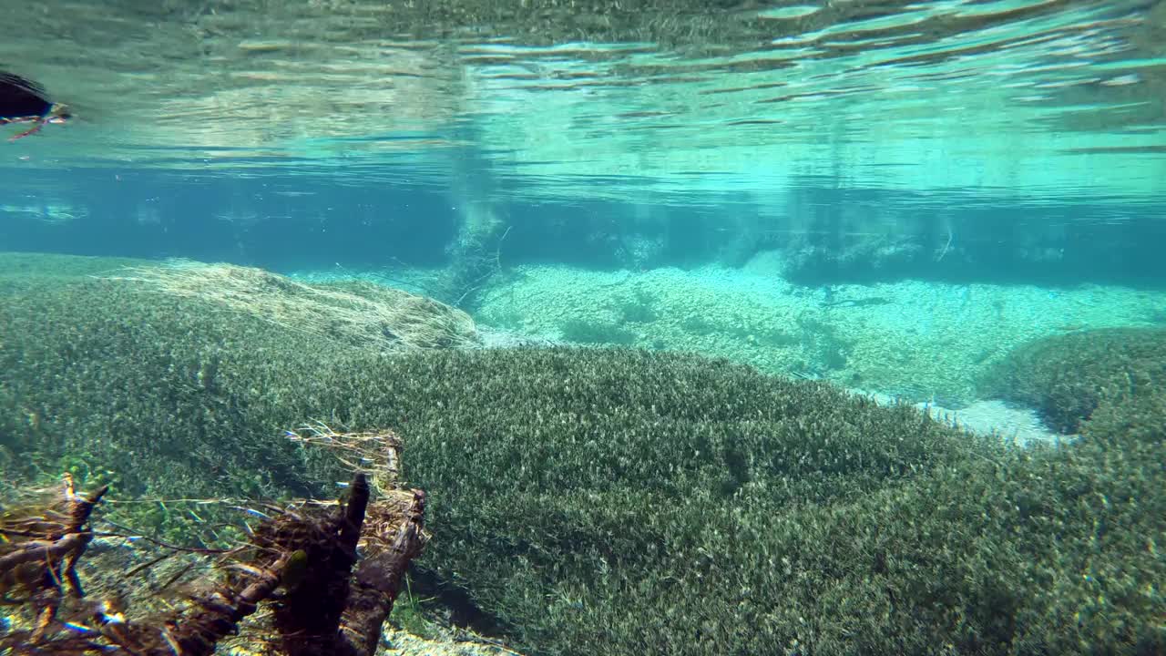 水流清澈见底，山涧中有水草，水下射视频素材