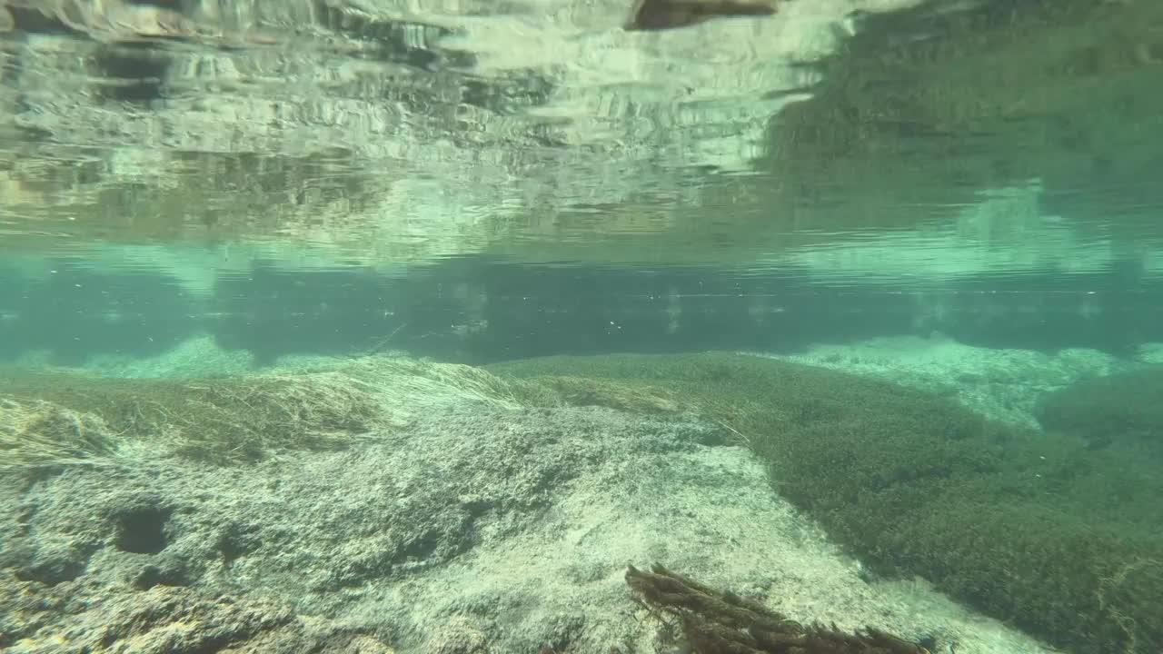 水流清澈见底，山涧中有水草，水下射视频素材