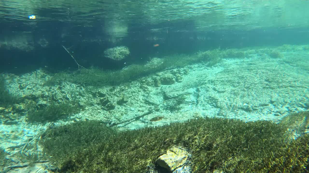 水流清澈见底，山涧中有水草，水下射视频素材