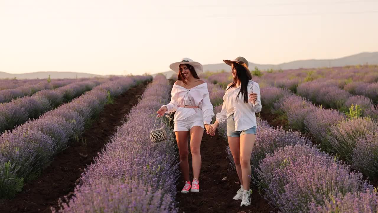 美丽的年轻女子戴着草帽在紫色的薰衣草地里视频素材