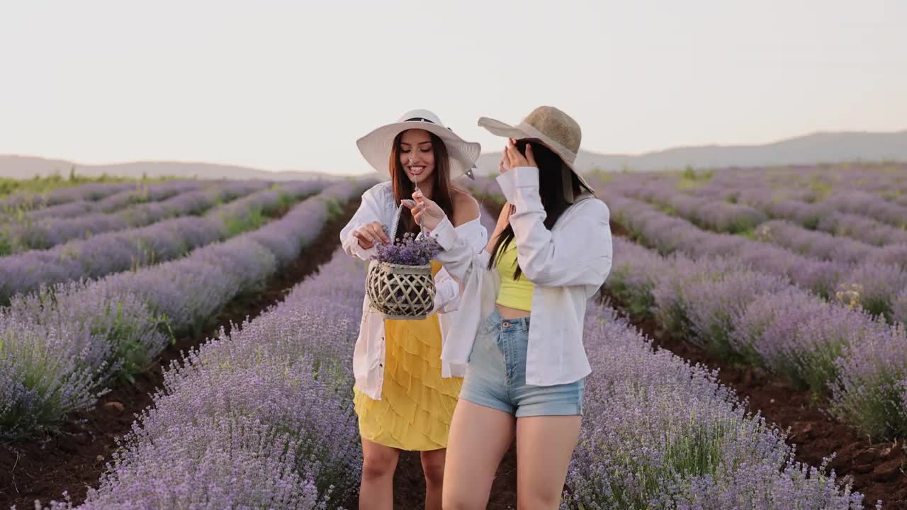 美丽的年轻女子戴着草帽在紫色的薰衣草地里视频素材