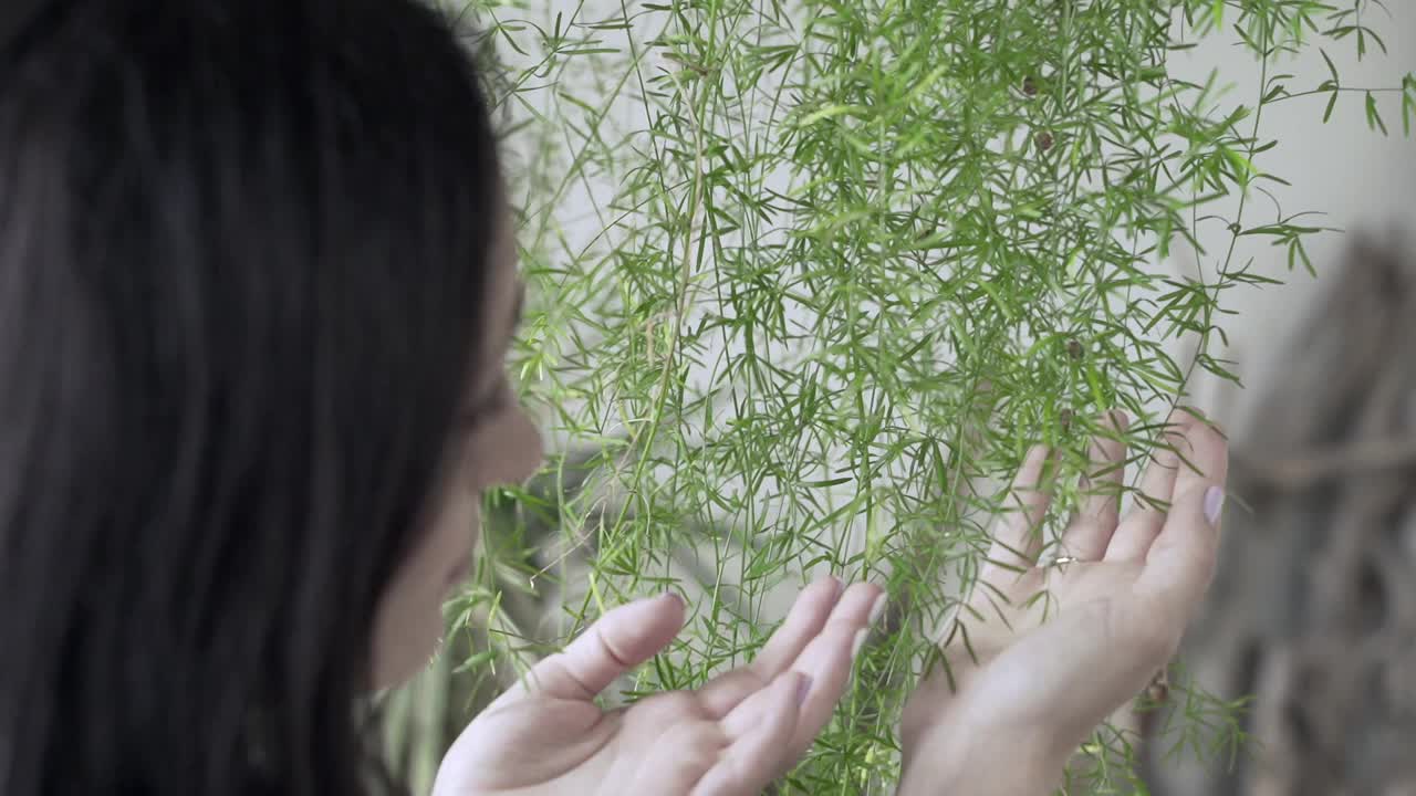 美丽的女人园丁摆姿势与绿色植物，而站在房子房间视频素材