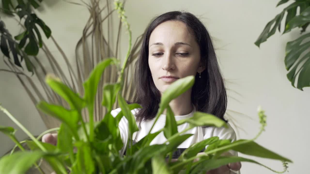 美丽的女人园丁摆姿势与绿色植物，而站在房子房间视频素材