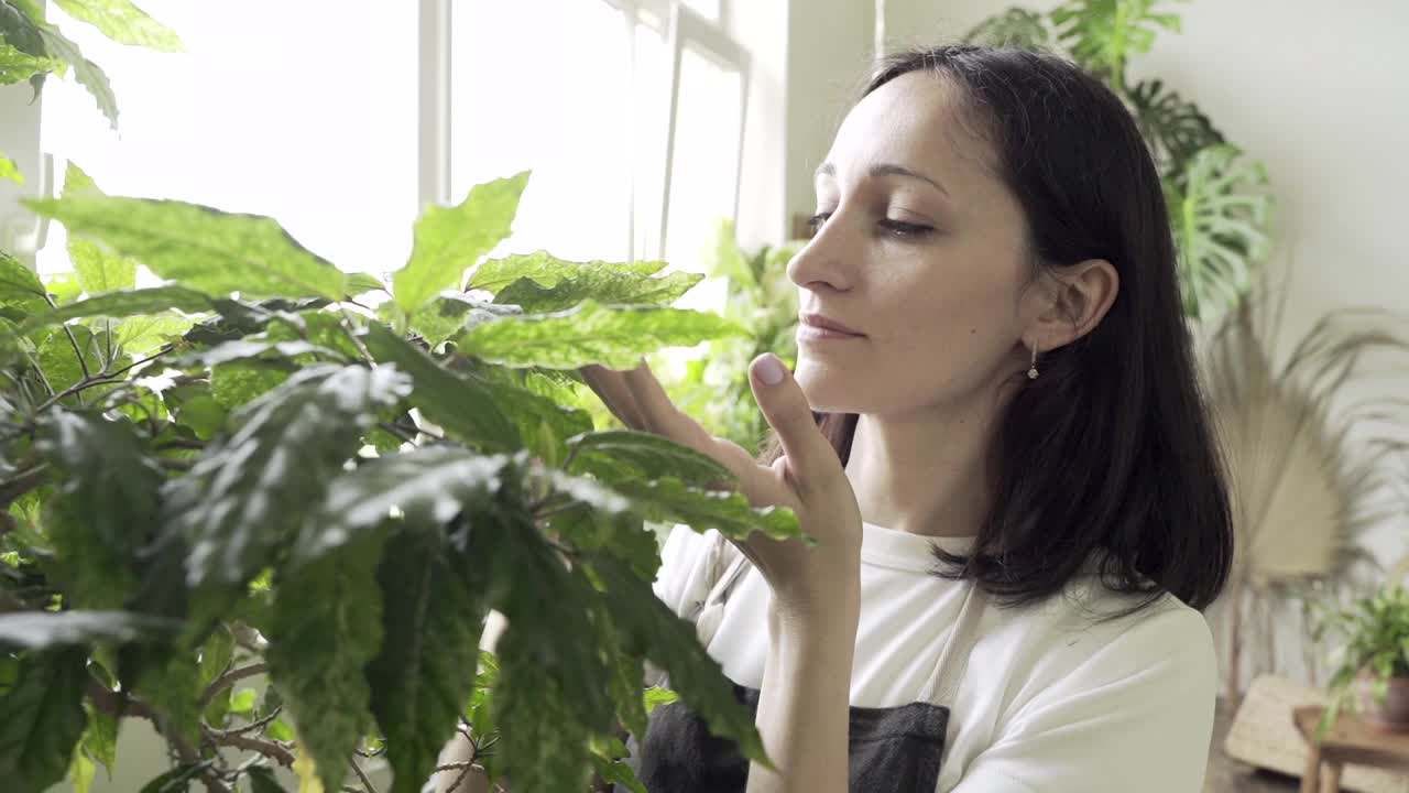 美丽的女人园丁摆姿势与绿色植物，而站在房子房间视频素材