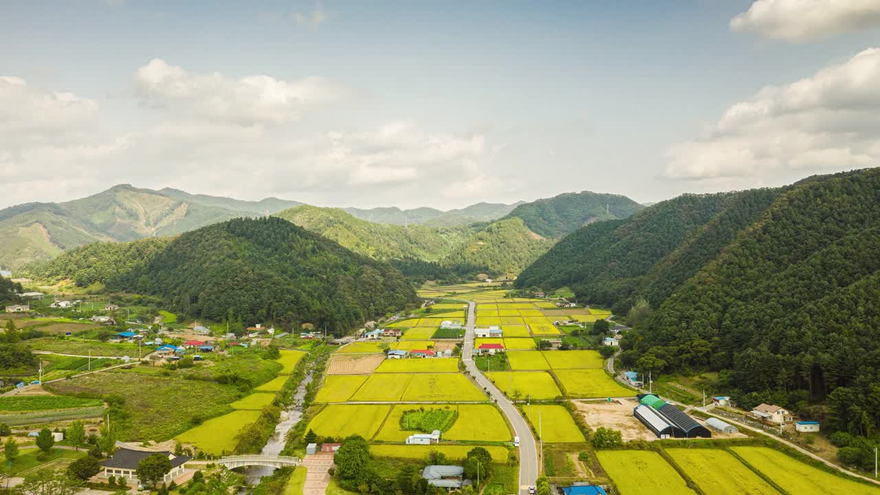 田野和平原的秋景/韩国江原道洪川郡视频素材