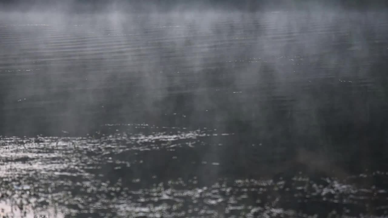 薄雾从水中升起。秋天的风景，森林在美丽的秋天颜色倒映在湖面上视频下载