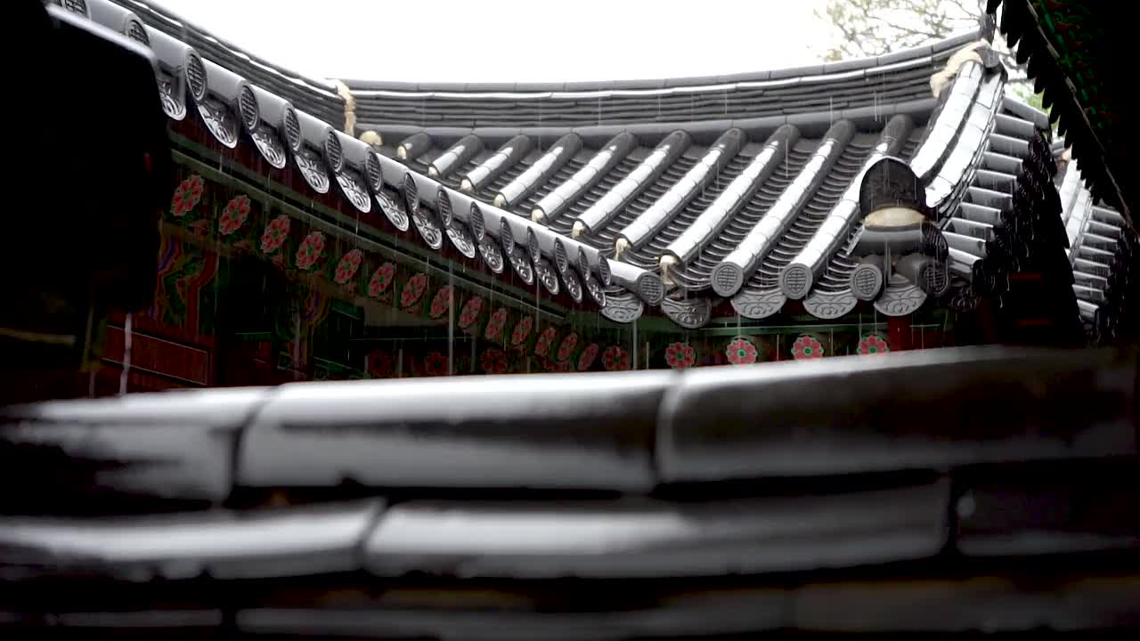 雨天的昌德宫瓦片/韩国首尔钟路区视频素材