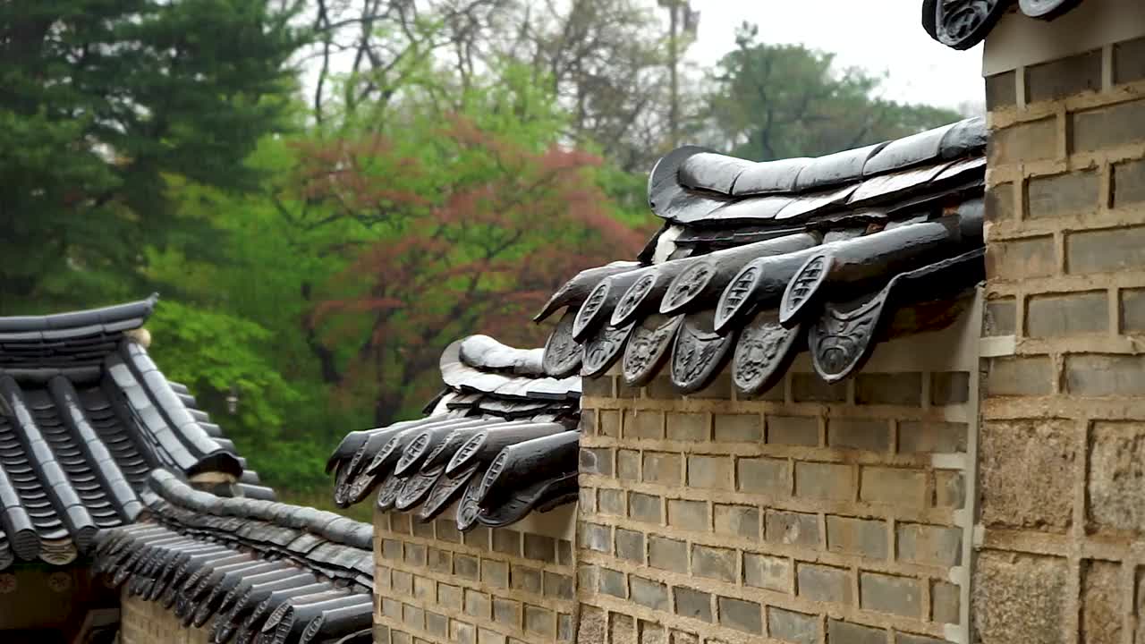 雨天昌德宫的墙和瓦/韩国首尔钟路区视频素材