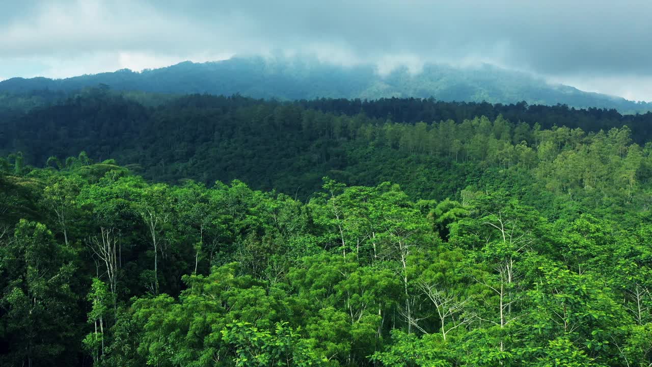 被热带森林覆盖的小山。视频素材