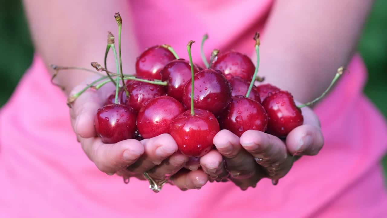 一个女人手里拿着红樱桃。视频素材