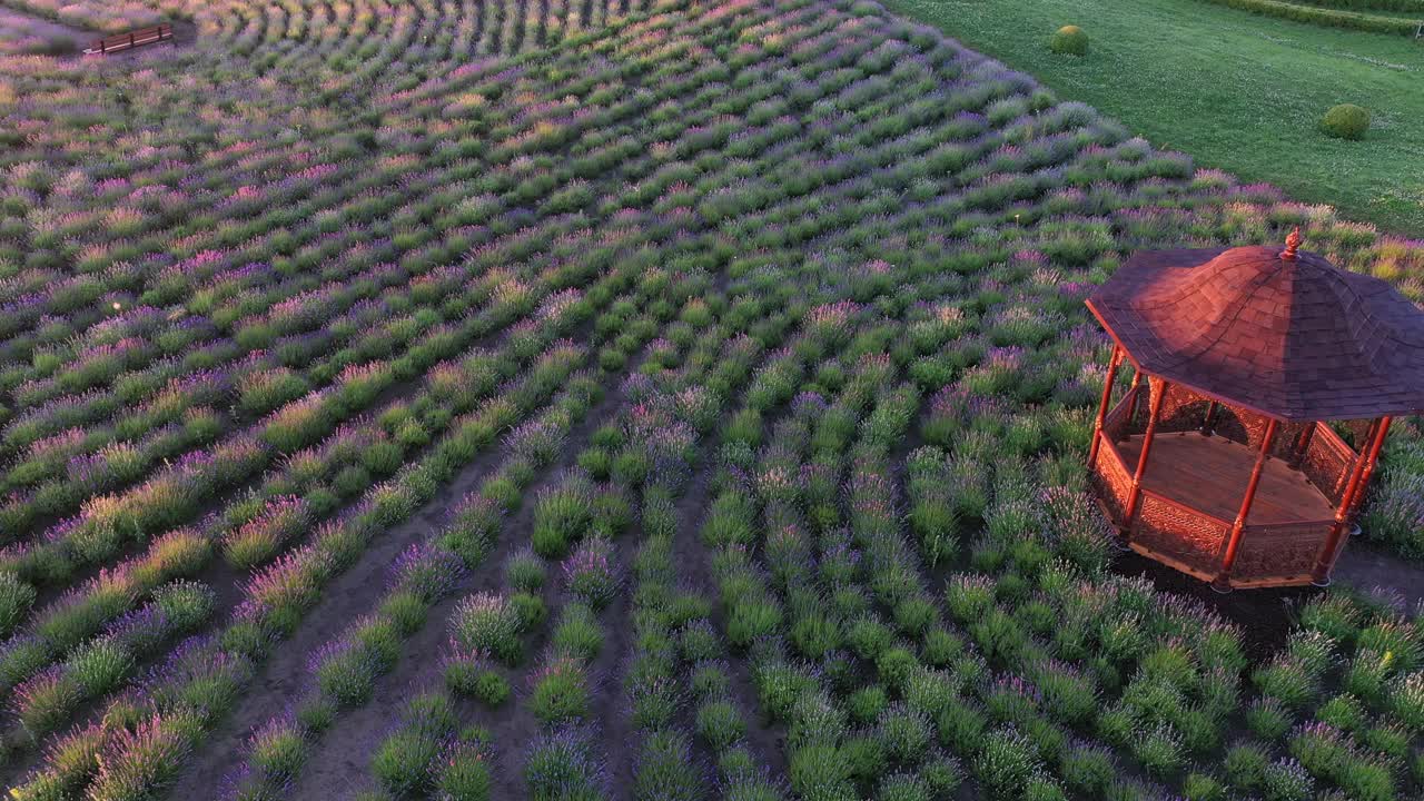 这列火车乘铁路桥旅行。鸟瞰图。视频素材