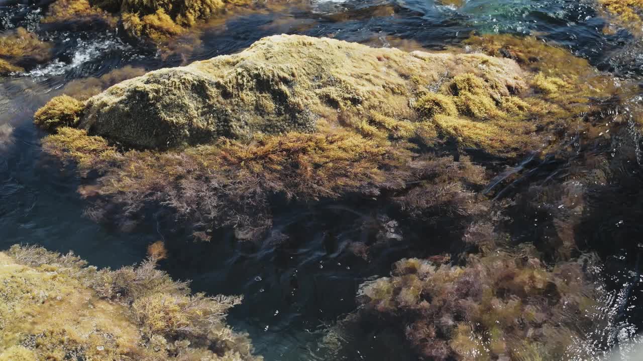 海水中被泡沫波浪冲刷的被苔藓和藻类覆盖的岩石和礁石。视频素材