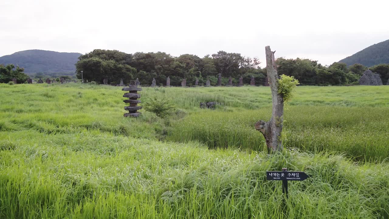 韩国济州岛九川郡济州岛石碑公园草地上的石塔日落景色视频素材