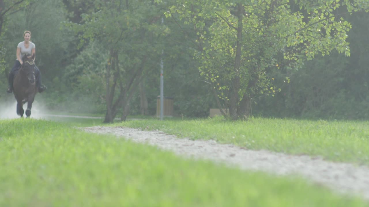 低角度:一个年轻的女人骑着一匹棕色的种马疾驰在一条空旷的砾石小路上视频素材