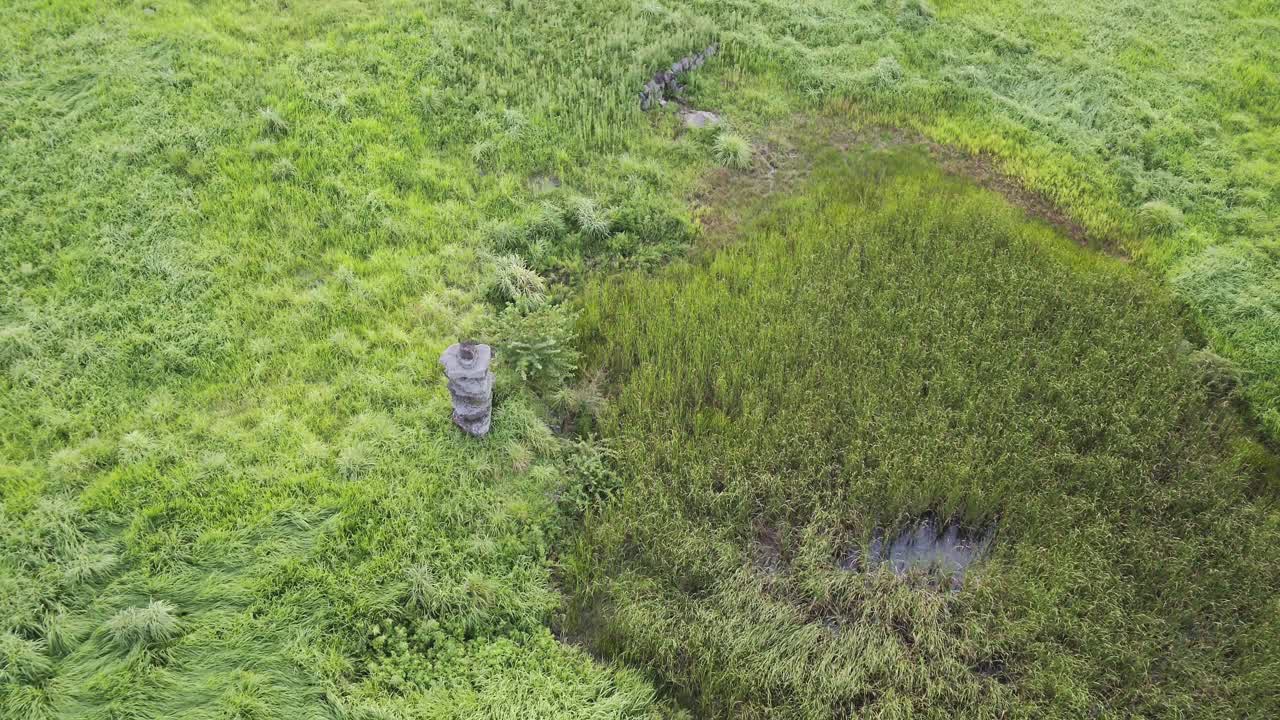 韩国济州岛九川郡济州岛石碑公园草地上的石塔日落景色视频素材