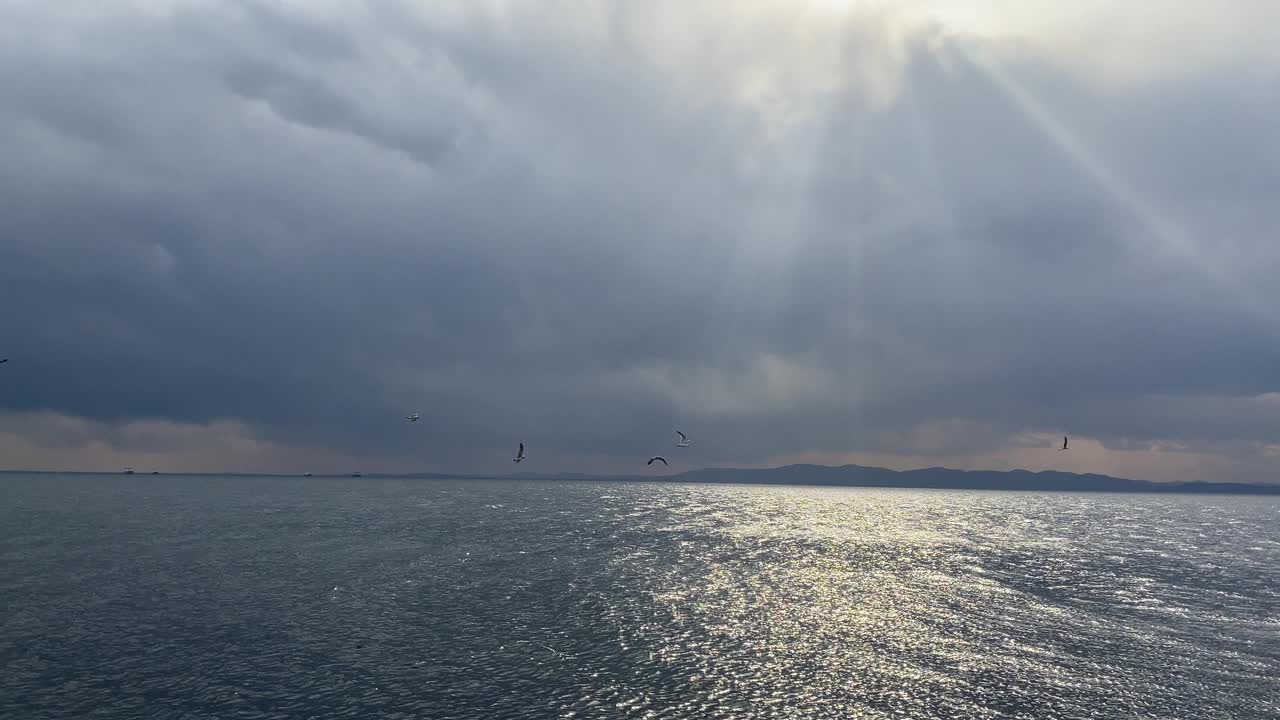 在阳光和海鸥的照耀下的海景全景视频素材