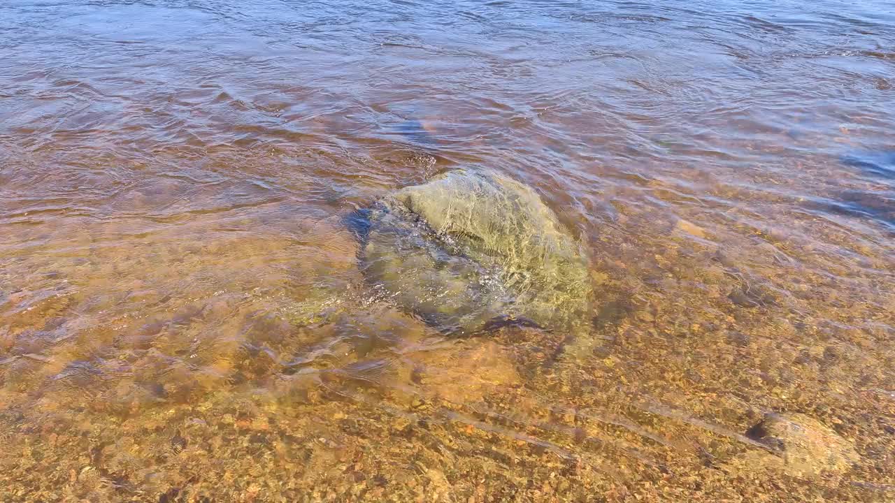 水流是透明的，中间的水和石头被洗涤视频下载