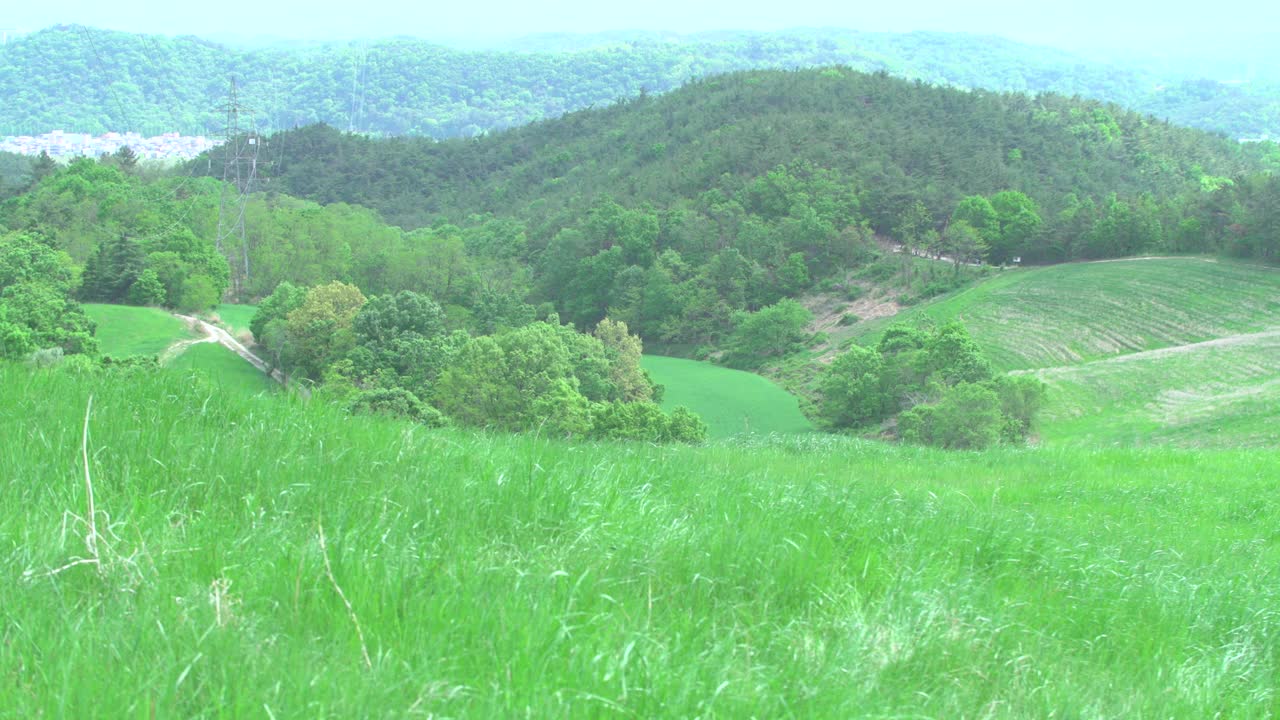 Daun木jang(农场)的风景/韩国蔚山中区视频素材